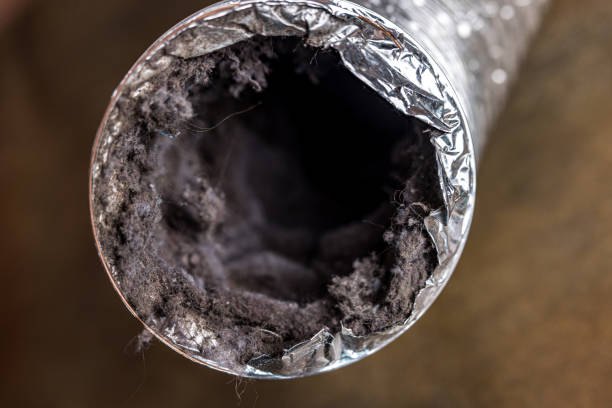 Best Dryer Vent Cleaning Services  in Humboldt, IA